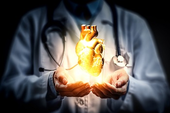 Doctor holding heart