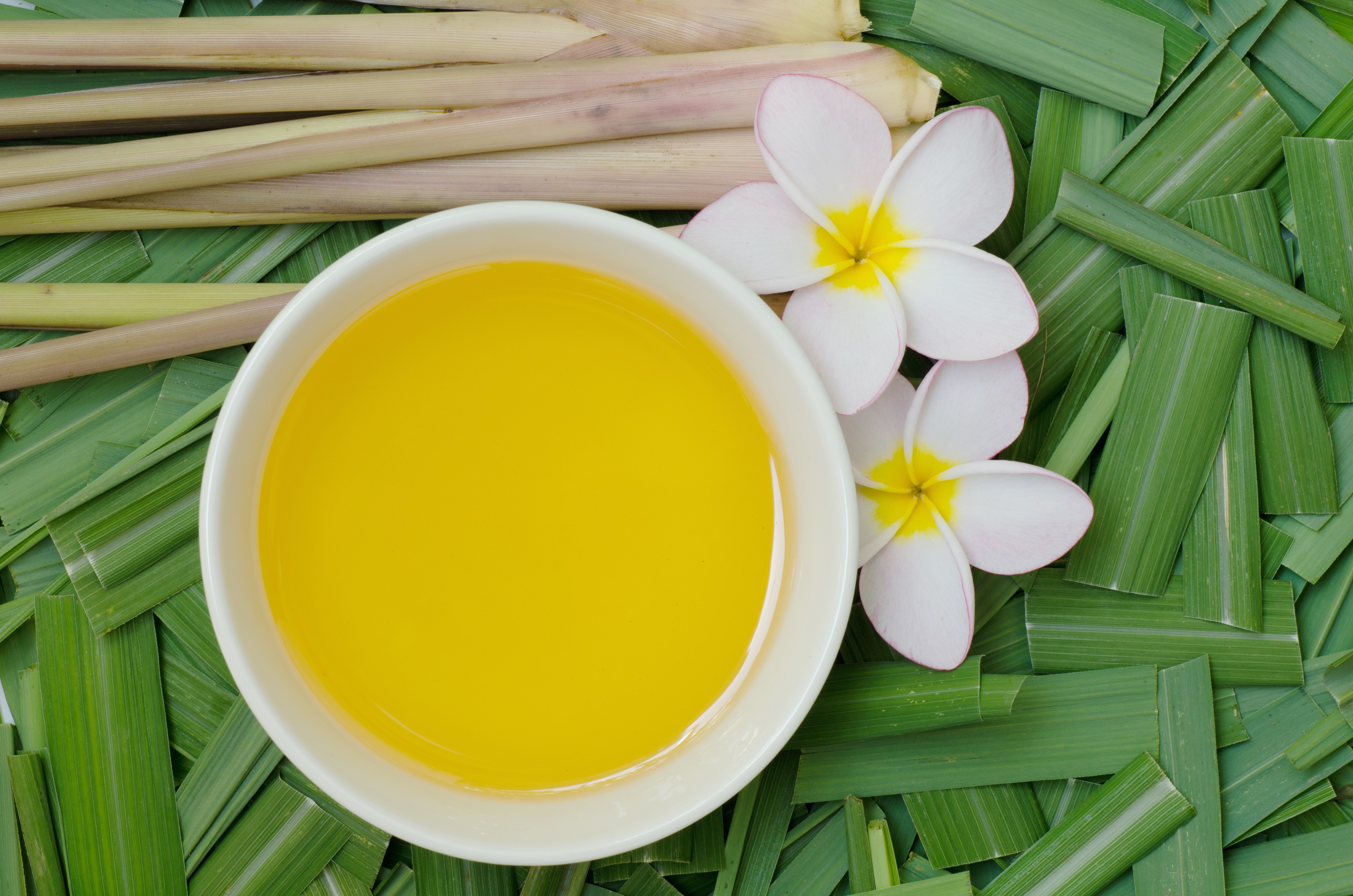 Citronella oil