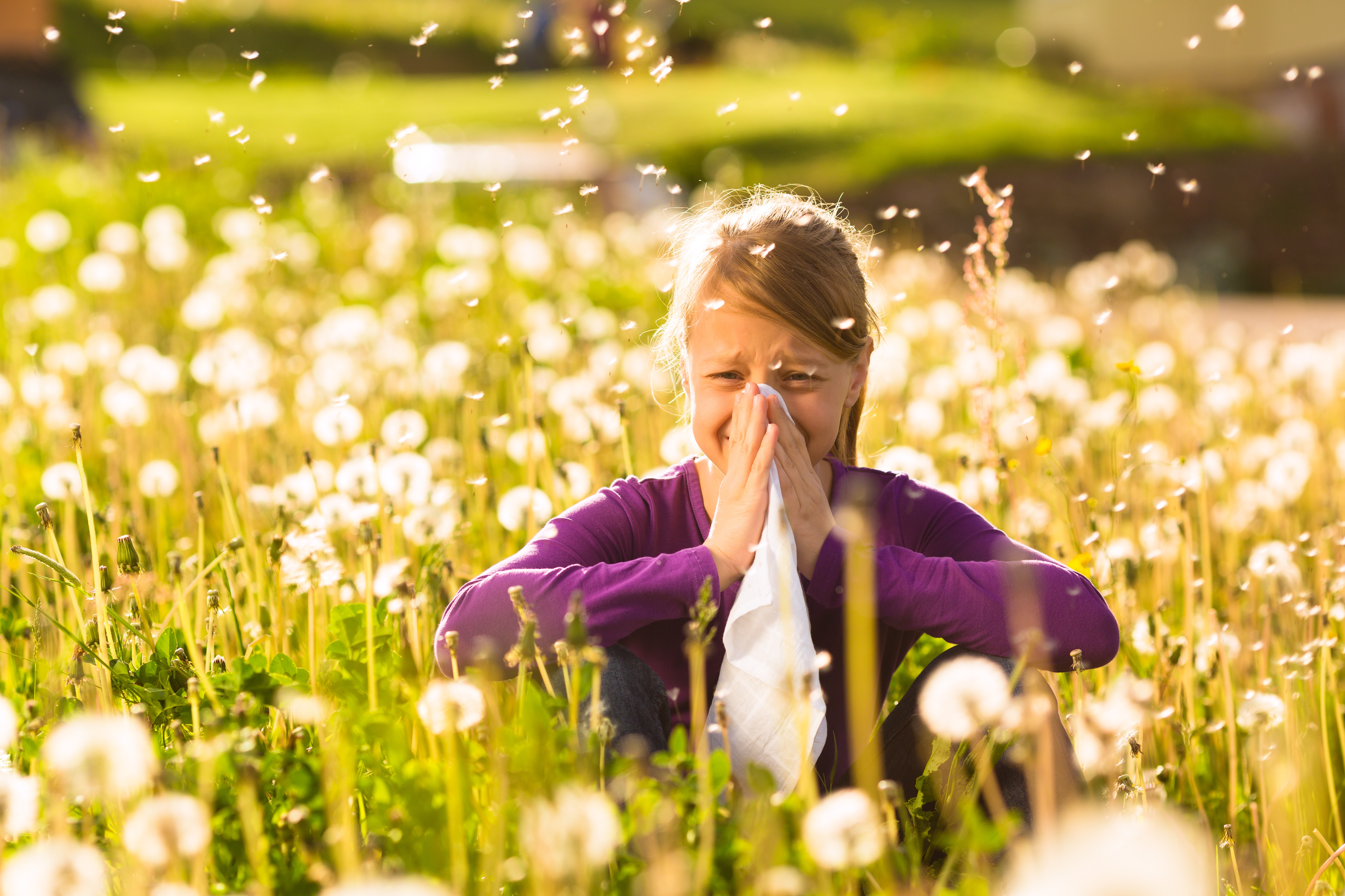 NatMed Condition Series: Hay Fever